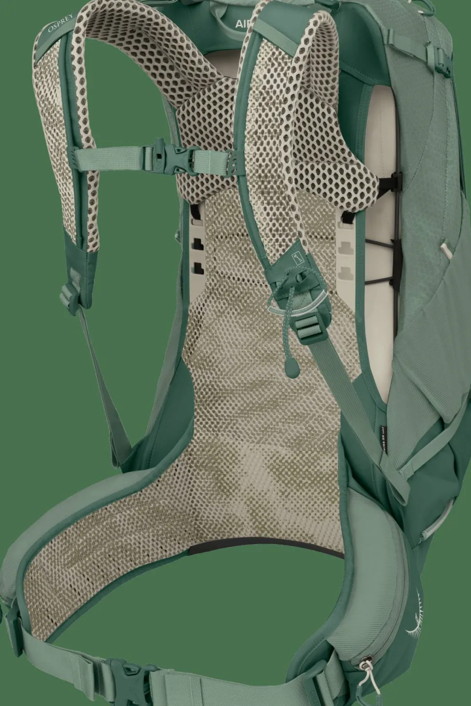 Osprey Men's Stratos 24 Pine Leaf Green