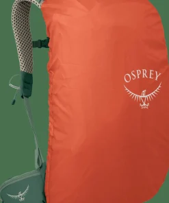 Osprey Men's Stratos 24 Pine Leaf Green