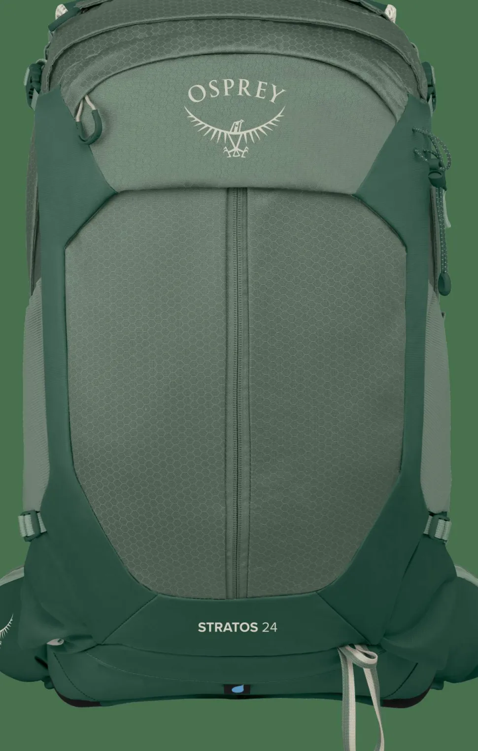 Osprey Men's Stratos 24 Pine Leaf Green