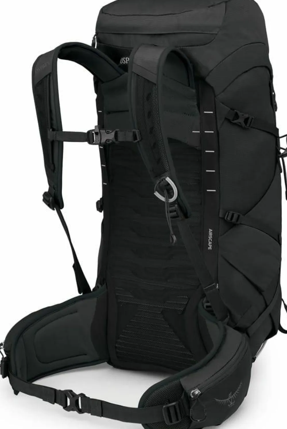 Osprey Men's Talon 33 Black/Coal Grey New