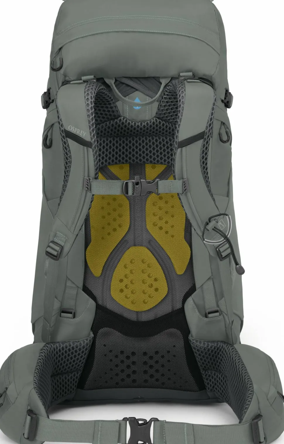 Osprey Women's Kyte 48 Rocky Brook Green