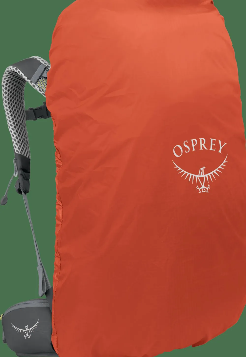 Osprey Women's Sirrus 36 MEDIUM GRAY