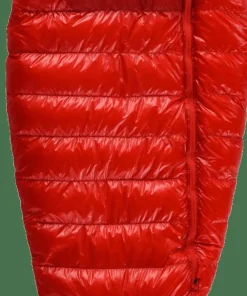 Best Kids' Quest Bear Camping