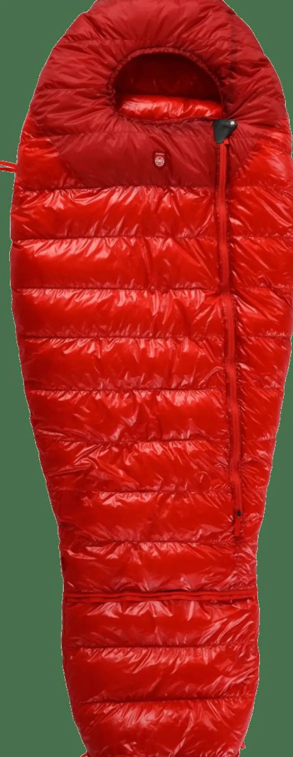 Best Kids' Quest Bear Camping