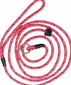 Rexa Dog Leash With Reflextors Pink Sale