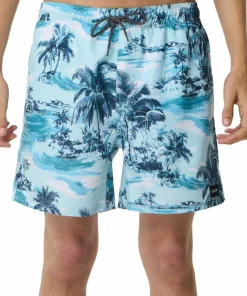 Rip Curl Men's Dreamers Volley Boardshorts Glacier Blue New