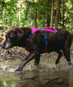 Ruffwear Flagline™ Harness Alpenglow Pink Discount