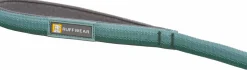 Hot Front Range Leash Hund