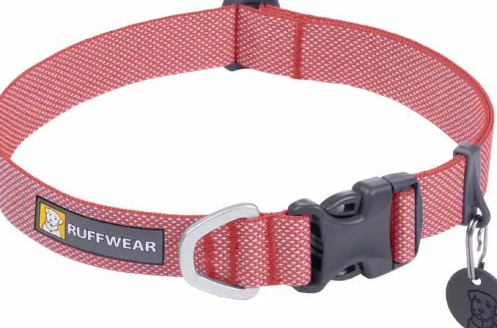 Online Hi & Light Collar Hund