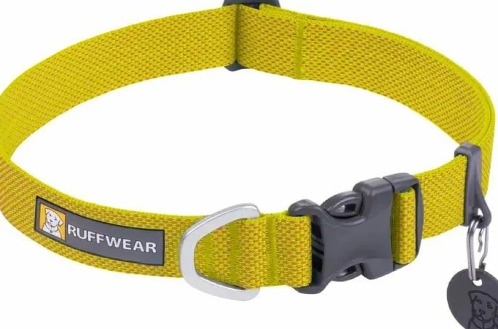 Hi & Light Collar Hund