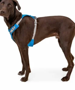 Ruffwear Hi & Light™ Harness Blue Dusk Best