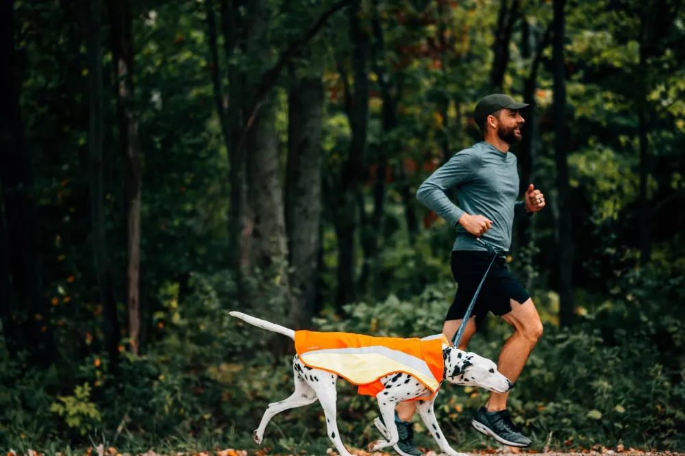 Discount Lumenglow™ Hi-Viz Jacket Hund