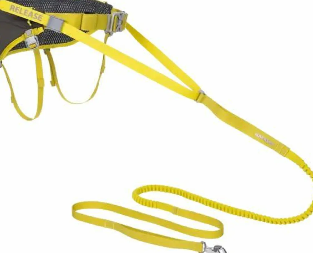 New Omnijore Joring System Hund