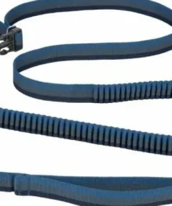 Ruffwear Roamer Leash Orion Blue