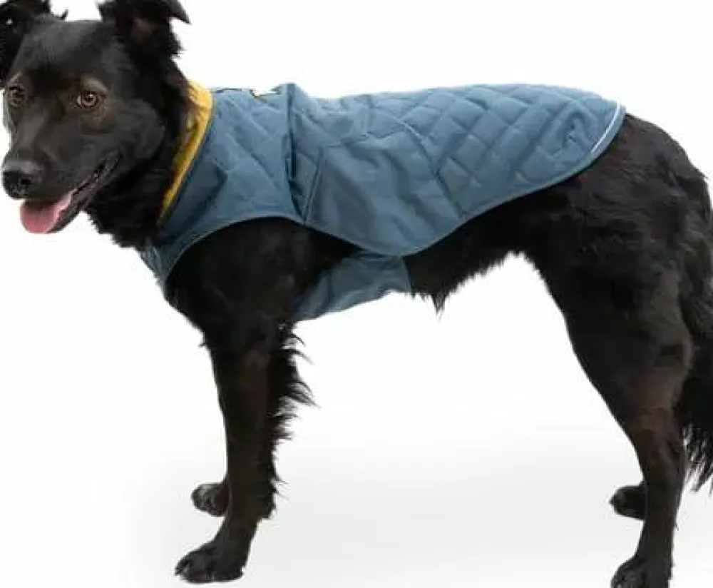 Ruffwear Stumptown Jacket Orion Blue