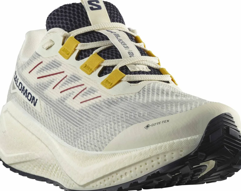 Salomon Men's Aero Blaze 3 Gravel GORE-TEX Vanilla Ice/Astral Aura/Lemon Vanilla Ice / Astral Aura / Lemon