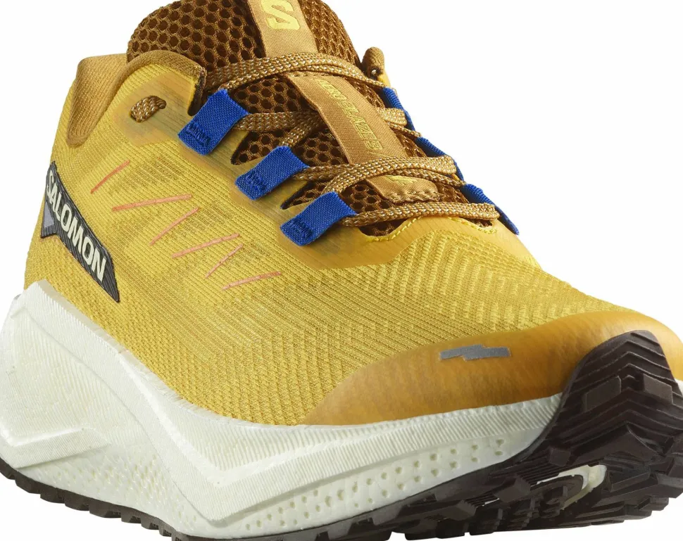 Salomon Men's Aero Blaze 3 Grvl Spicy Mustard/Vanilla Ice/Nautical Blue