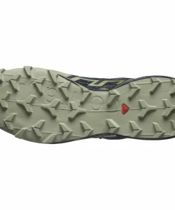 Salomon Men's Speedcross 6 GORE-TEX Grisaille / Carbon / Tea Hot