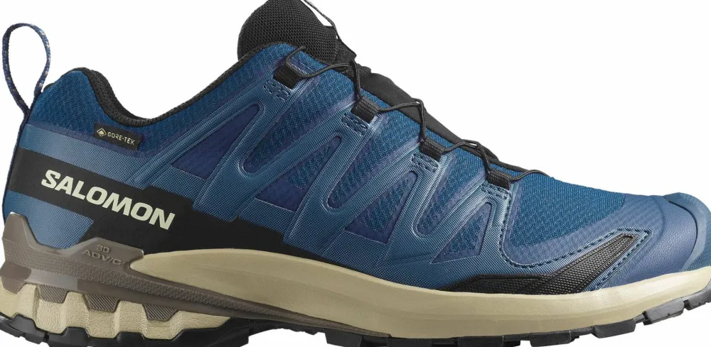 Salomon Men's XA 3D Pro V9 GORE-TEX Poseidon/White Pepper/Falcon Discount
