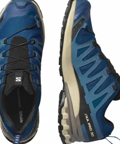 Salomon Men's XA 3D Pro V9 GORE-TEX Poseidon/White Pepper/Falcon Discount
