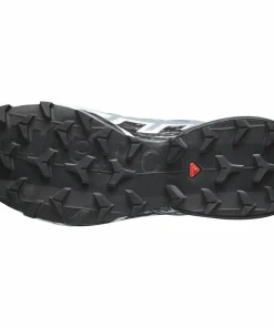 Salomon Women's Speedcross 6 GORE-TEX Flint Stone/Black/Heather Best