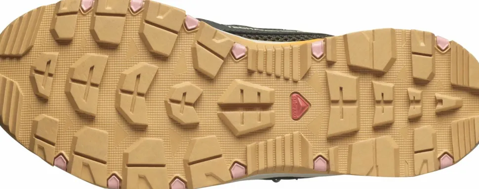 Salomon Women's Techamphibian 5 Peat/rainy Day/hyma Pink