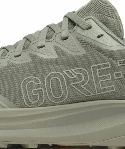 Saucony Men's Peregrine 16 GORE-TEX Laurel/Sage Outlet