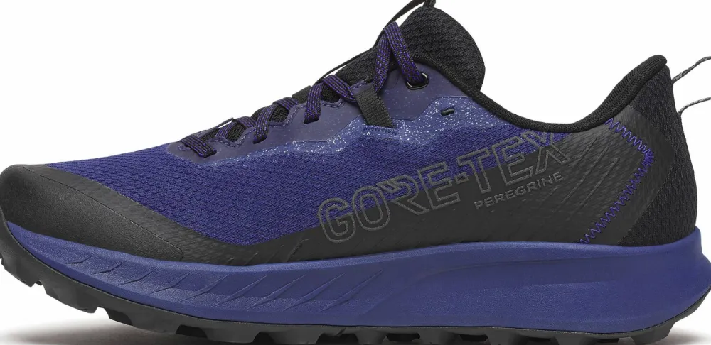Saucony Men’s Peregrine 15 GORE-TEX Regal/Black New