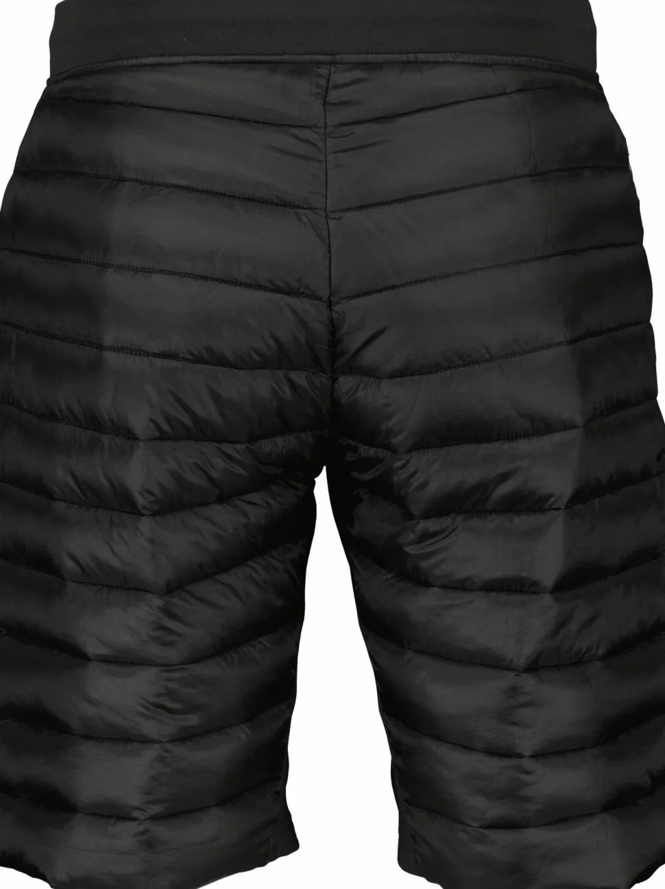 Scott Men's Shorts Insuloft Tech Black