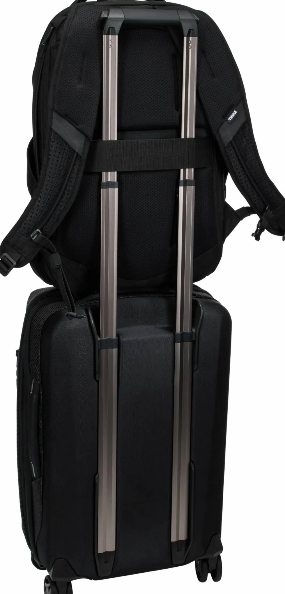 Thule Accent Backpack 26L Black Online