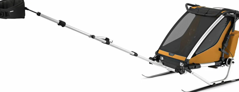 Thule Chariot Sport 2 G3 Natural Gold